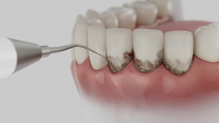 Reliable Dental contractor in Lakeland, GA by Dentist Open Now
